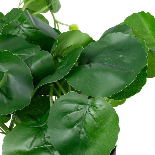Artificial Garden BELL PLANT 20957 Διακοσμητικό Φυτό Σεφλέρα Φ47 x Υ22cm Artificial Garden BELL PLANT 20957 Διακοσμητικό Φυτό Σεφλέρα Φ47 x Υ22cm