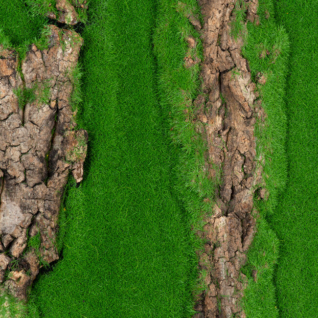 Artificial Garden BRYOPHYTA 20147 Τεχνητό Διακοσμητικό Πάνελ Φυλλωσιάς - Κάθετος Κήπος Βρύα Μ100 x Π100 x Υ3cm - 5