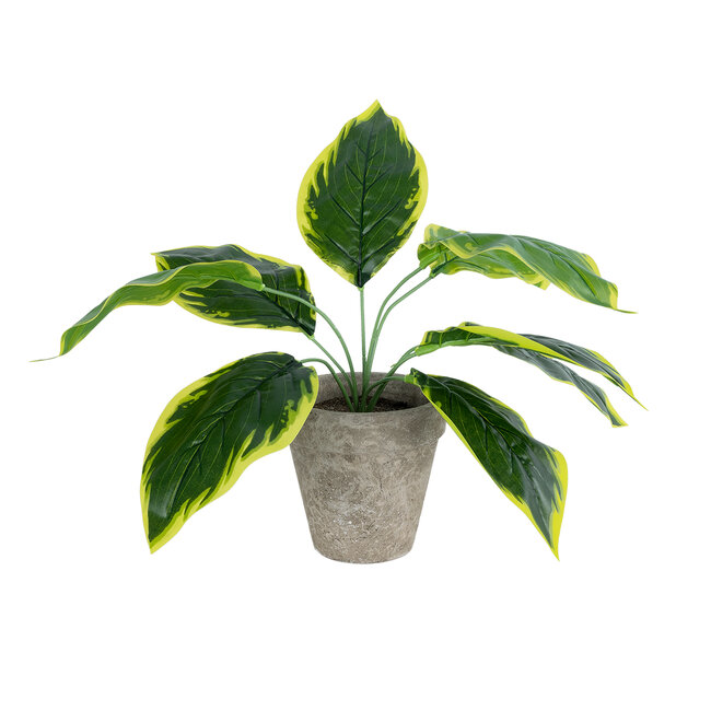 Artificial Garden YELLOW HOSTA 20899 Τεχνητό Διακοσμητικό Φυτό Κίτρινη Χόστα Υ40cm