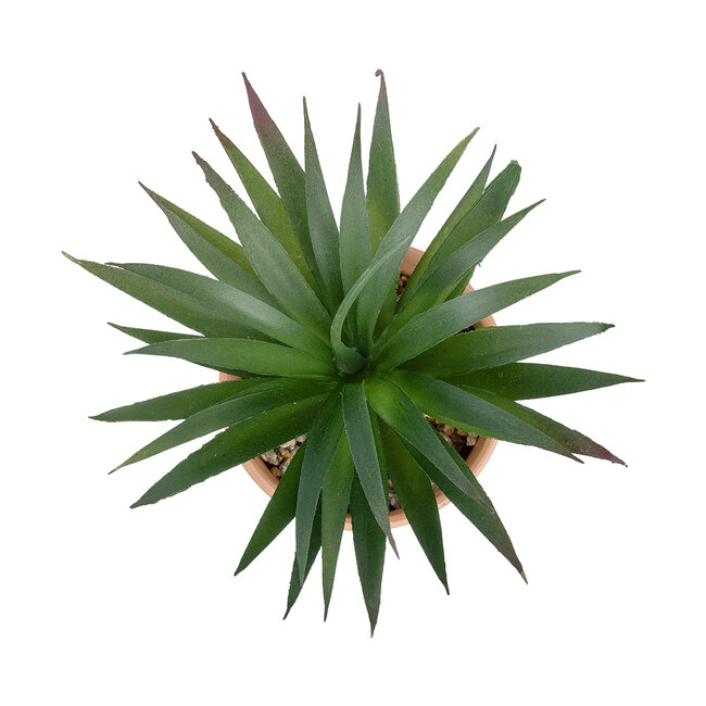 Artificial Garden SUCCULENT SANSEVIERIA POTTED PLANT 21047 Διακοσμητικό Φυτό Σανσεβιέρια  Φ16x Υ20cm - 3