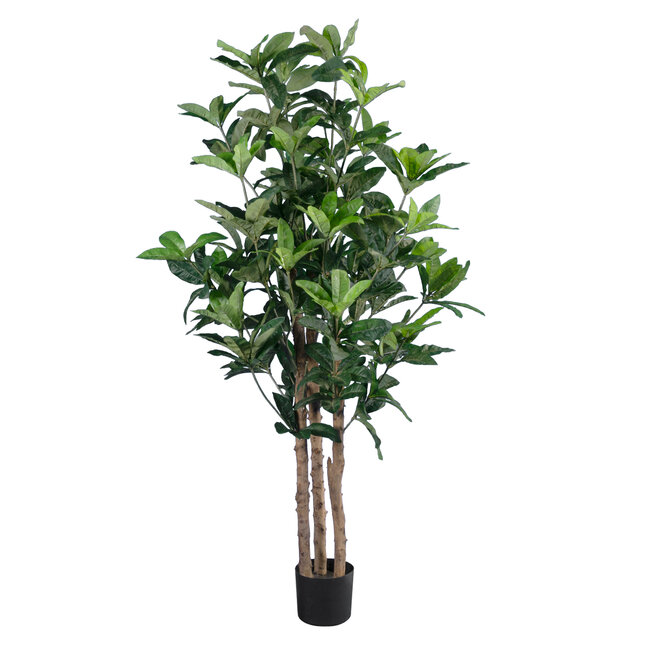 Artificial Garden FORTUNE GUIANA TREE 20056 Τεχνητό Διακοσμητικό Φυτό Καστανιά του Μαλαμπάρ Υ160cm