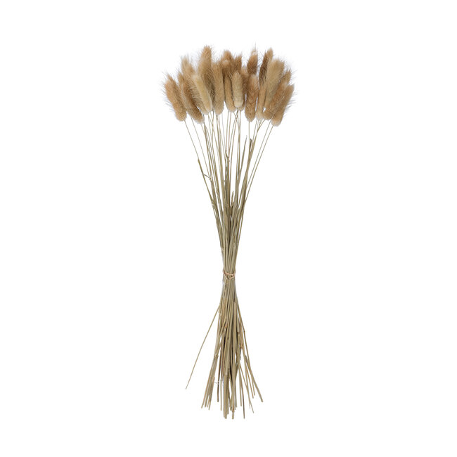 Artificial Garden REAL DRIED BEIGE WHEAT BUNCH  21219 Αποξηραμένο Διακοσμητικό Μπουκέτο Σιταριού Y50cm