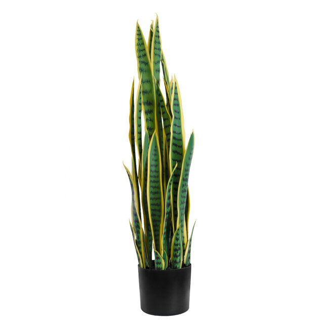 Artificial Garden BLOODLEAF DRACAENA TRIFASCIATA 20062 Τεχνητό Διακοσμητικό Φυτό Αιματόφυλλη Σανσεβιέρια Υ100cm Artificial Garden BLOODLEAF DRACAENA TRIFASCIATA 20062 Τεχνητό Διακοσμητικό Φυτό Αιματόφυλλη Σανσεβιέρια Υ100cm