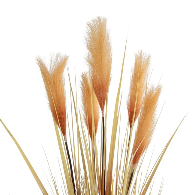 Artificial Garden PAMPAS GRASS 21475 Τεχνητό Διακοσμητικό Φυτό Παμπας Υ120cm Artificial Garden PAMPAS GRASS 21475 Τεχνητό Διακοσμητικό Φυτό Παμπας Υ120cm