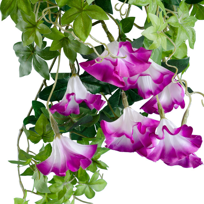 Artificial Garden MORNING GLORY HANGING BRANCH 20238 Τεχνητό Διακοσμητικό Κρεμαστό Φυτό Ιπομέα - Πρωϊνή Χαρά Υ60cm Artificial Garden MORNING GLORY HANGING BRANCH 20238 Τεχνητό Διακοσμητικό Κρεμαστό Φυτό Ιπομέα - Πρωϊνή Χαρά Υ60cm