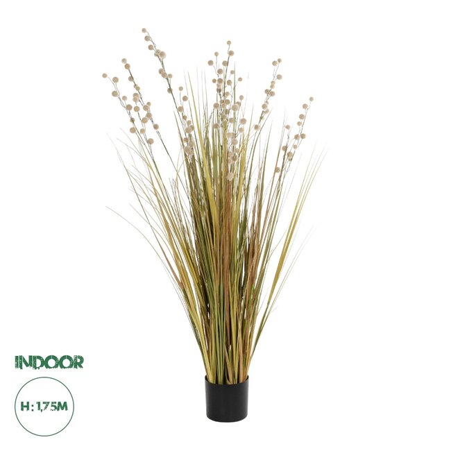 Artificial Garden CRASPEDIA GRASS 21480 Τεχνητό Διακοσμητικό Φυτό Μπεζ & Πράσινο Κρασπέδια Μ90 x Π60 x Υ175cm