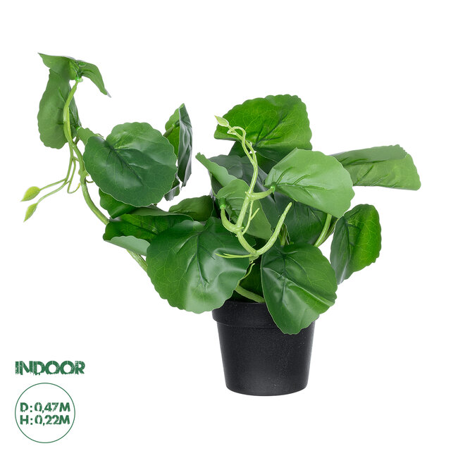 Artificial Garden BELL PLANT 20957 Διακοσμητικό Φυτό Σεφλέρα Φ47 x Υ22cm Artificial Garden BELL PLANT 20957 Διακοσμητικό Φυτό Σεφλέρα Φ47 x Υ22cm