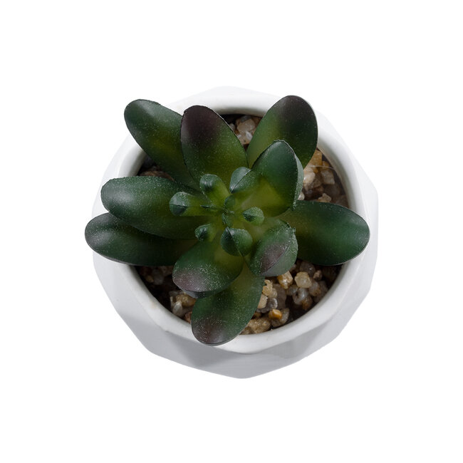 Artificial Garden SUCCULENT CRASSULA 20979 Διακοσμητικό Φυτό Παχύφυτο Κράσουλα Υ9cm Artificial Garden SUCCULENT CRASSULA 20979 Διακοσμητικό Φυτό Παχύφυτο Κράσουλα Υ9cm