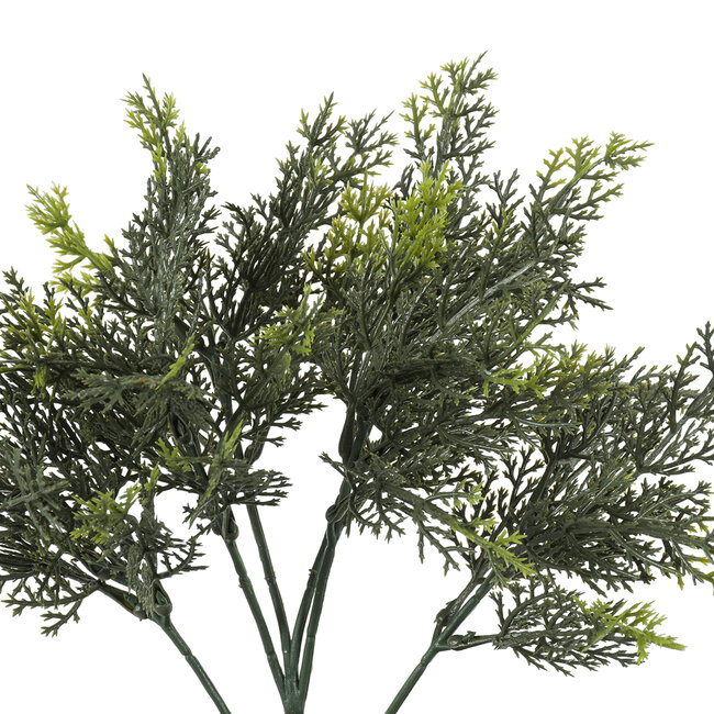 Artificial Garden LEMON CYPRESS 20389 Τεχνητό Διακοσμητικό Φυτό Λεμονόκυπάρισσο Υ30cm Artificial Garden LEMON CYPRESS 20389 Τεχνητό Διακοσμητικό Φυτό Λεμονόκυπάρισσο Υ30cm