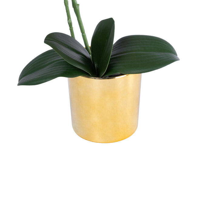 Artificial Garden BLUE ORCHID 21130 Διακοσμητικό Φυτό Μπλε Ορχιδέα Υ43cm - 4