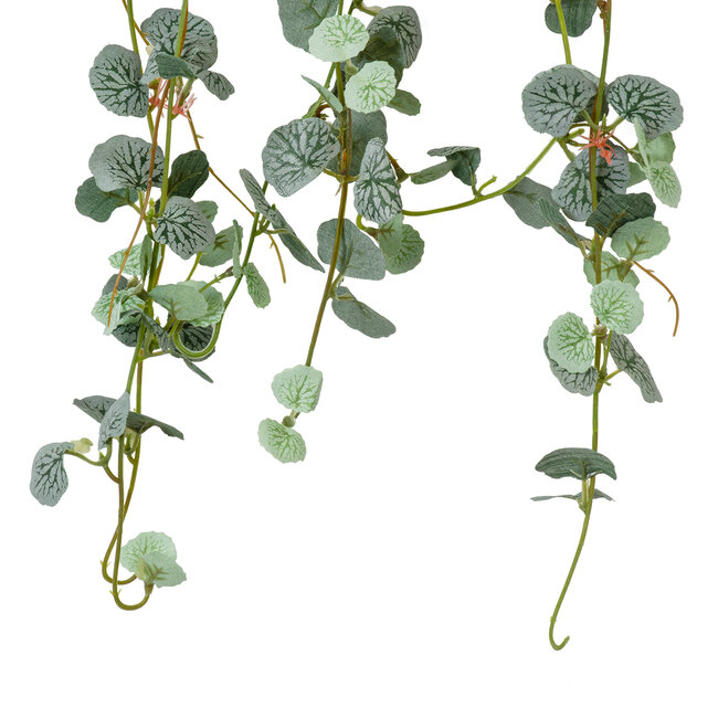 Artificial Garden EUCALYPTUS HANGING BRANCH 20235 Τεχνητό Διακοσμητικό Κρεμαστό Φυτό Ευκάλυπτος Υ75cm - 3