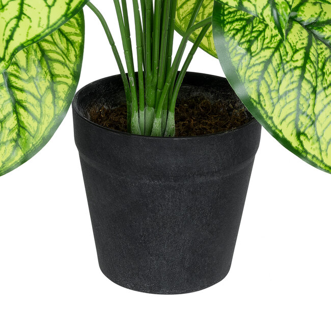 Artificial Garden CALADIUM 20913 Διακοσμητικό Φυτό Καλάντιουμ Υ75cm - 4