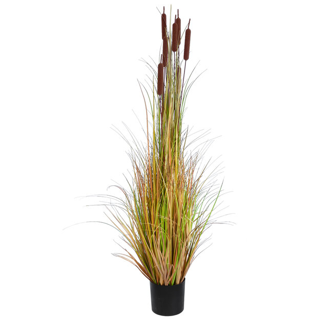 Artificial Garden TYPHA ANGUSTIFOLIA GRASS 20114 Τεχνητό Διακοσμητικό Φυτό Γρασίδι της Τύφας Υ150cm - 2
