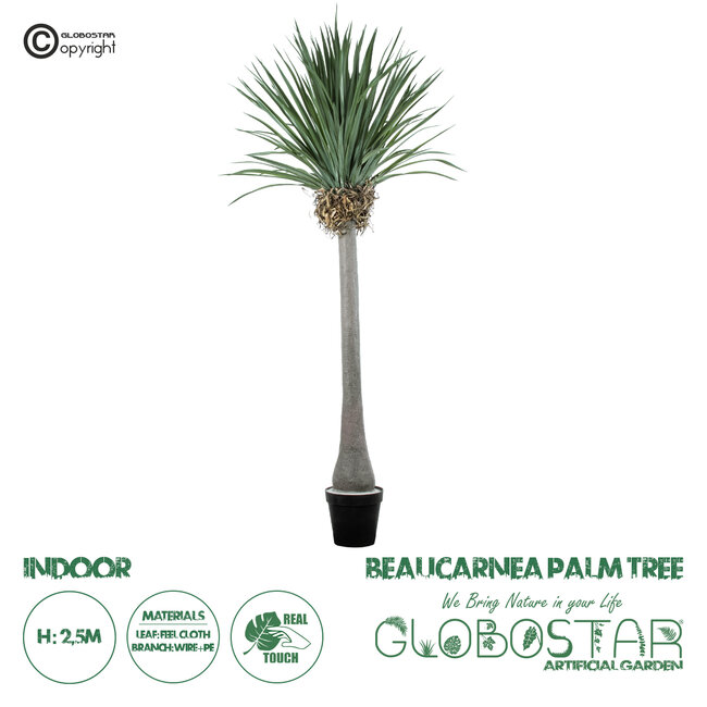 Artificial Garden BEAUCARNEA PALM TREE 20048 Τεχνητό Διακοσμητικό Φυτό Κυρτόφυλλος Μπουκαρνέα Υ250cm