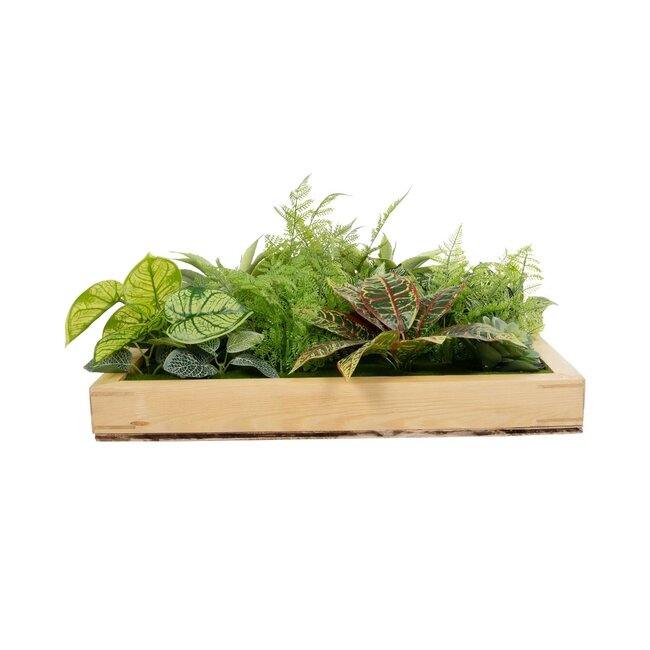 Artificial Garden VARIOUS PLANT 20641 Τεχνητό Διακοσμητικό Φυλλωσιάς σε Ξύλινο Πάνελ  - Κάθετος Κήπος Μιξ Μ60 x Π60 x Υ32cm