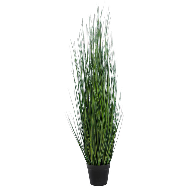 Artificial Garden MISCANTHUS SINENSIS 20116 Τεχνητό Διακοσμητικό Φυτό Μίσχανθος Υ120cm Artificial Garden MISCANTHUS SINENSIS 20116 Τεχνητό Διακοσμητικό Φυτό Μίσχανθος Υ120cm
