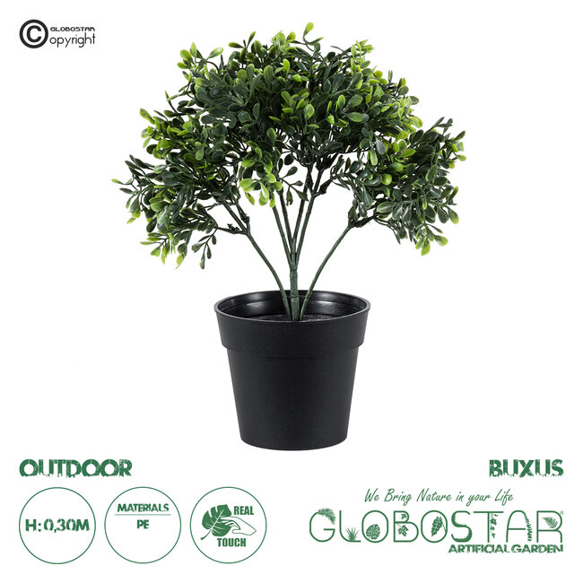 Artificial Garden BUXUS 20387 Τεχνητό Διακοσμητικό Φυτό Πυξός Υ30cm Artificial Garden BUXUS 20387 Τεχνητό Διακοσμητικό Φυτό Πυξός Υ30cm