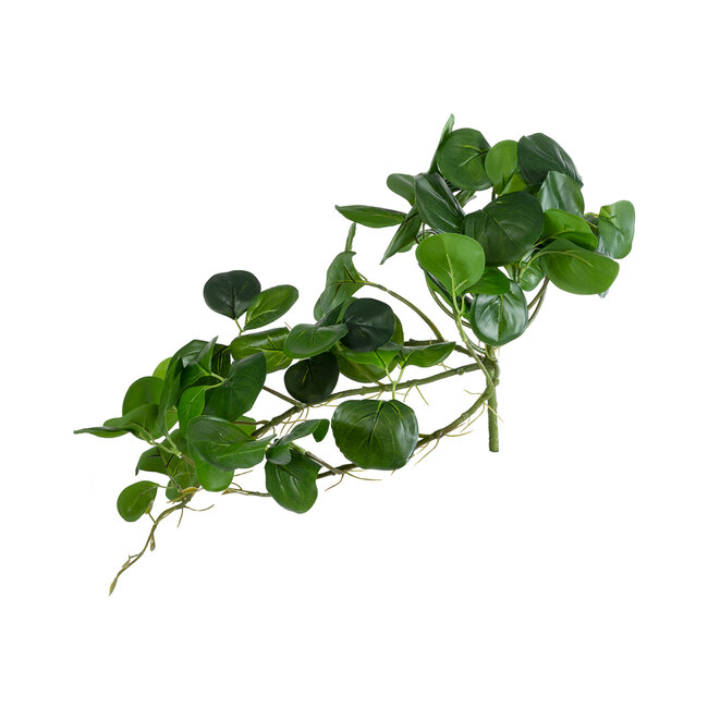 Artificial Garden HANGING PEPEROMIA 20599 Τεχνητό Διακοσμητικό Κρεμαστό Φυτό Πεπερόμια Μ30 x Π31 x Υ50cm Artificial Garden HANGING PEPEROMIA 20599 Τεχνητό Διακοσμητικό Κρεμαστό Φυτό Πεπερόμια Μ30 x Π31 x Υ50cm