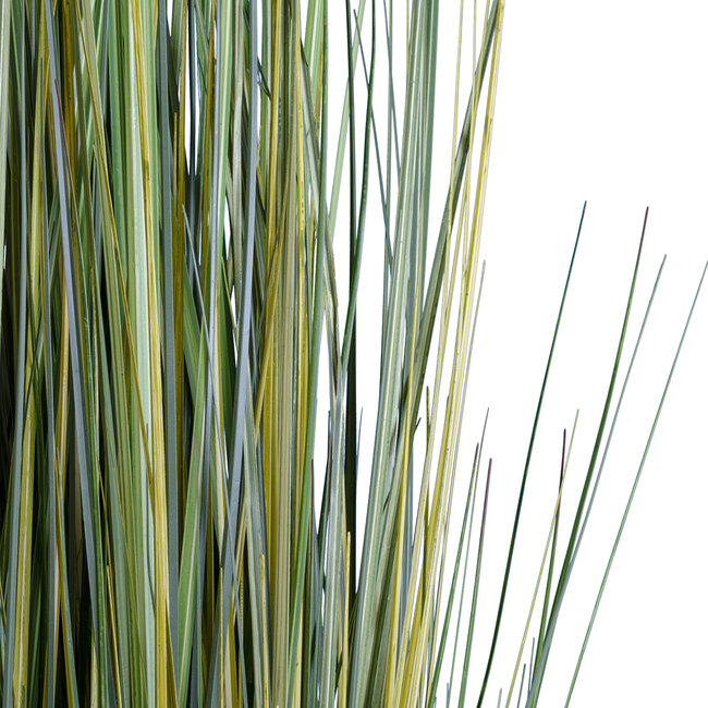 Artificial Garden ERIOPHORUM ANGUSTIFOLIUM COTTON GRASS 20073 Τεχνητό Διακοσμητικό Φυτό Γρασίδι του Βαμβακιού Υ150cm Artificial Garden ERIOPHORUM ANGUSTIFOLIUM COTTON GRASS 20073 Τεχνητό Διακοσμητικό Φυτό Γρασίδι του Βαμβακιού Υ150cm