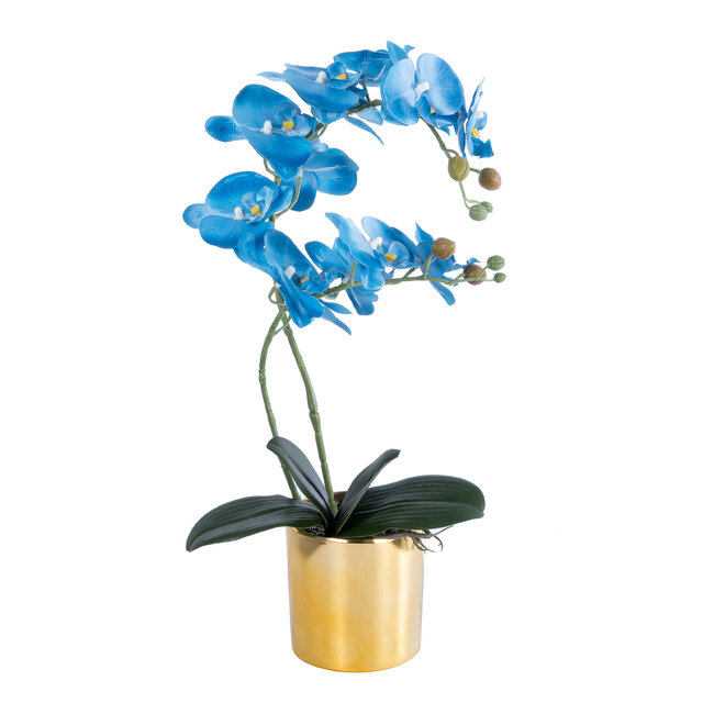 Artificial Garden BLUE ORCHID 21130 Διακοσμητικό Φυτό Μπλε Ορχιδέα Υ43cm - 2