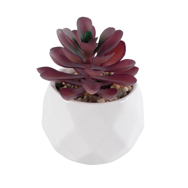 Artificial Garden SUCCULENT CRASSULA 21004 Διακοσμητικό Φυτό Παχύφυτο Κράσουλα Υ9.5cm Artificial Garden SUCCULENT CRASSULA 21004 Διακοσμητικό Φυτό Παχύφυτο Κράσουλα Υ9.5cm