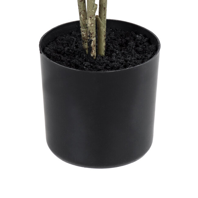 Artificial Garden POLYSCIAS BALFOURIANA TREE 20374 Τεχνητό Διακοσμητικό Φυτό Πολυσκιά Υ110cm - 5
