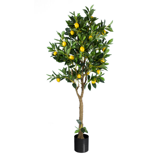 Artificial Garden LEMON TREE 20214 Τεχνητό Διακοσμητικό Δέντρο Λεμονιά Υ165cm Artificial Garden LEMON TREE 20214 Τεχνητό Διακοσμητικό Δέντρο Λεμονιά Υ165cm