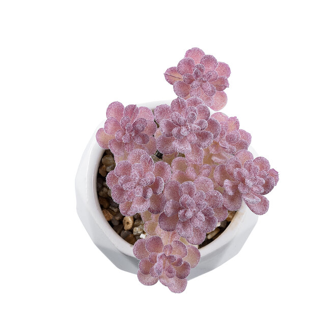 Artificial Garden SUCCULENT SEDUM 20988 Διακοσμητικό Φυτό Παχύφυτο Σέδο Υ10cm - 3