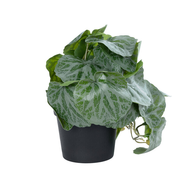Artificial Garden STRAWBERRY 20950 Διακοσμητικό Φυτό Φραουλιά Υ16cm Artificial Garden STRAWBERRY 20950 Διακοσμητικό Φυτό Φραουλιά Υ16cm