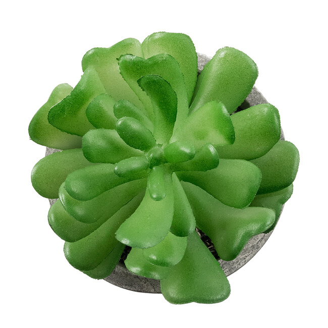 Artificial Garden SUCCULENT CRASSULA 21014 Διακοσμητικό Φυτό Παχύφυτο Κράσουλα Υ11.5cm Artificial Garden SUCCULENT CRASSULA 21014 Διακοσμητικό Φυτό Παχύφυτο Κράσουλα Υ11.5cm