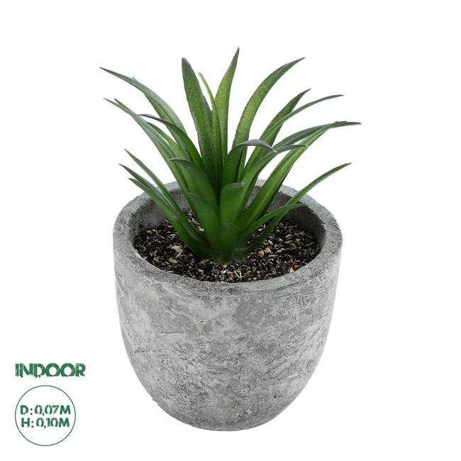 Artificial Garden SUCCULENT ALOE 21030 Διακοσμητικό Φυτό Παχύφυτο Αλόη Υ10cm Artificial Garden SUCCULENT ALOE 21030 Διακοσμητικό Φυτό Παχύφυτο Αλόη Υ10cm