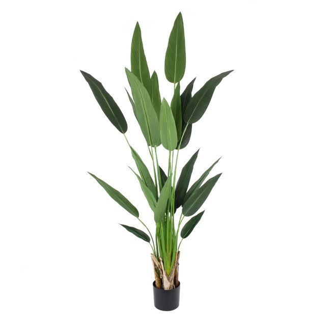 Artificial Garden STRELITZIA 20030 Τεχνητό Διακοσμητικό Φυτό Στρελίτσια - Πουλί του Παραδείσου Υ180cm Artificial Garden STRELITZIA 20030 Τεχνητό Διακοσμητικό Φυτό Στρελίτσια - Πουλί του Παραδείσου Υ180cm