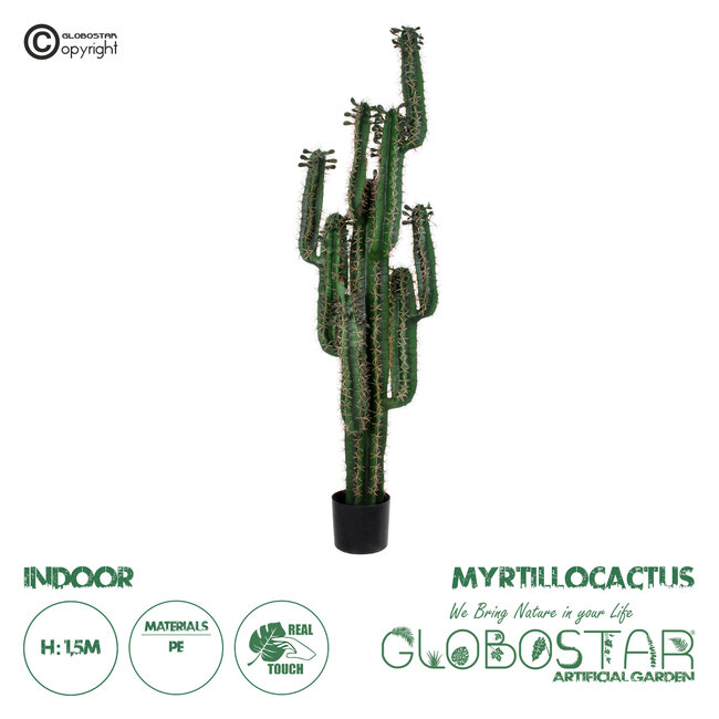 Artificial Garden MYRTILLOCACTUS 20128 Τεχνητό Διακοσμητικό Φυτό Μυρτιλλόκακτος Υ150cm