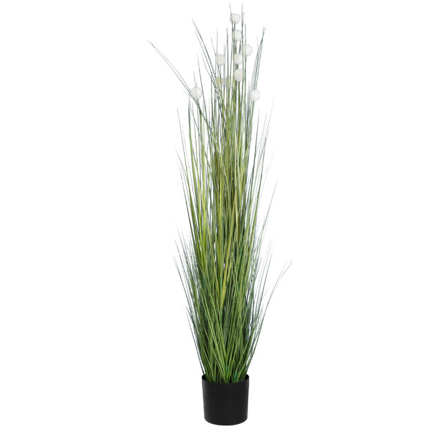 Artificial Garden LAGURUS GRASS 20111 Τεχνητό Διακοσμητικό Φυτό Λαγοουρά Υ150cm Artificial Garden LAGURUS GRASS 20111 Τεχνητό Διακοσμητικό Φυτό Λαγοουρά Υ150cm
