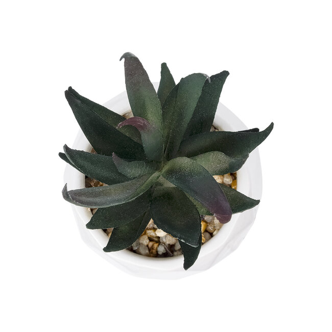 Artificial Garden SUCCULENT ALOE POTTED PLANT 20978 Διακοσμητικό Φυτό Αλόης Φ7 x Υ14cm Artificial Garden SUCCULENT ALOE POTTED PLANT 20978 Διακοσμητικό Φυτό Αλόης Φ7 x Υ14cm
