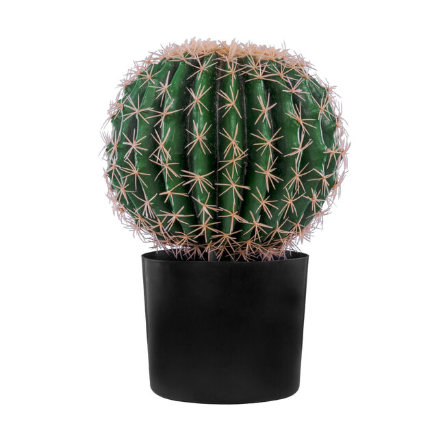 Artificial Garden FEROCACTUS 20091 Τεχνητό Διακοσμητικό Φυτό Φερόκακτος Υ36cm - 2