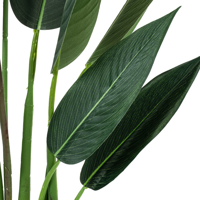 Artificial Garden STRELITZIA REGINAE 20031 Τεχνητό Διακοσμητικό Φυτό Στρελίτσια - Πουλί του Παραδείσου Υ120cm Artificial Garden STRELITZIA REGINAE 20031 Τεχνητό Διακοσμητικό Φυτό Στρελίτσια - Πουλί του Παραδείσου Υ120cm