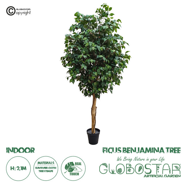 Artificial Garden FICUS BENJAMINA TREE 20431 Τεχνητό Διακοσμητικό Φυτό Φίκος Μπενζαμίνη Υ210cm