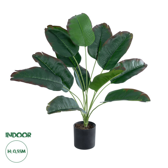 Artificial Garden BANANA 20928 Διακοσμητικό Φυτό Μπανανιά Υ55cm Artificial Garden BANANA 20928 Διακοσμητικό Φυτό Μπανανιά Υ55cm