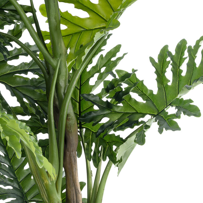 Artificial Garden PHILODENDRON 20684 Τεχνητό Διακοσμητικό Φυτό Φυλλόδενδρο Υ150cm Artificial Garden PHILODENDRON 20684 Τεχνητό Διακοσμητικό Φυτό Φυλλόδενδρο Υ150cm