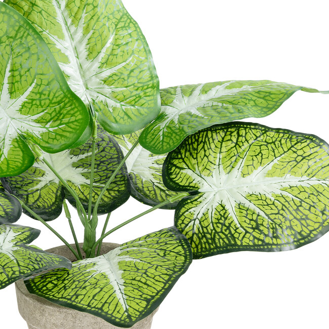 Artificial Garden CALADIUM POTTED PLANT 20894 Διακοσμητικό Φυτό Καλάντιουμ Φ40 x Υ33cm Artificial Garden CALADIUM POTTED PLANT 20894 Διακοσμητικό Φυτό Καλάντιουμ Φ40 x Υ33cm