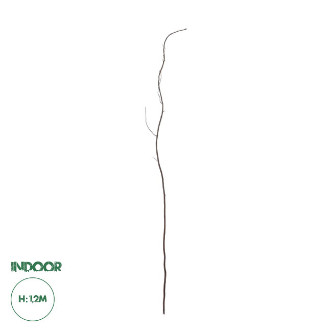 Artificial Garden REAL DRIED WITHERED VINE STEM 21120 Τεχνητό Διακοσμητικό Κλαδί Αμπελιού Y120cm