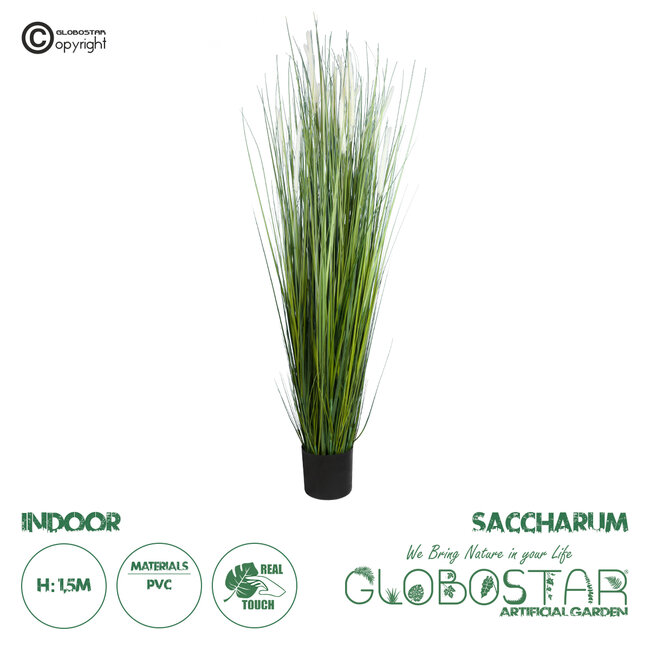 Artificial Garden SACCHARUM 20104 Τεχνητό Διακοσμητικό Φυτό Ζαχαροκάλαμο Υ150cm