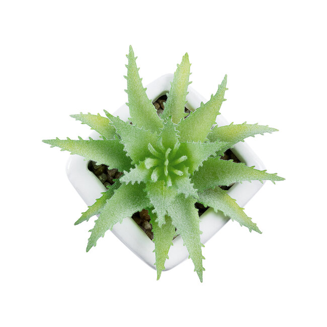 Artificial Garden SUCCULENT ALOE LOTUS 20976 Διακοσμητικό Φυτό Παχύφυτο Λωτός Αλόης Υ8cm