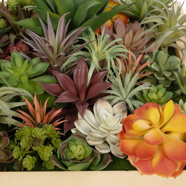 Artificial Garden VARIOUS PLANT 20642 Τεχνητό Διακοσμητικό Φυλλωσιάς σε Ξύλινο Πάνελ  - Κάθετος Κήπος Μιξ Μ60 x Π60 x Υ20cm - 6