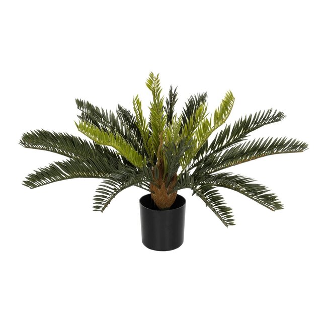 Artificial Garden CYCAS 21474 Τεχνητό Διακοσμητικό Φυτό Κύκας Υ42cm - 2