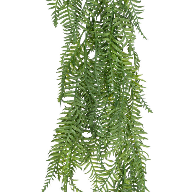 Artificial Garden HANGING FERN 20861 Τεχνητό Διακοσμητικό Κρεμαστό Φυτό Φτέρη Μ28 x Π15 x Υ90cm Artificial Garden HANGING FERN 20861 Τεχνητό Διακοσμητικό Κρεμαστό Φυτό Φτέρη Μ28 x Π15 x Υ90cm