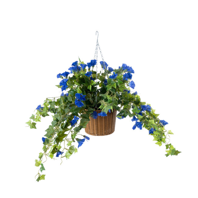 Artificial Garden MORNING GLORY HANGING PLANT 20636 Τεχνητό Κρεμαστό Διακοσμητικό Φυτό Ορτανσίας Y55cm Artificial Garden MORNING GLORY HANGING PLANT 20636 Τεχνητό Κρεμαστό Διακοσμητικό Φυτό Ορτανσίας Y55cm