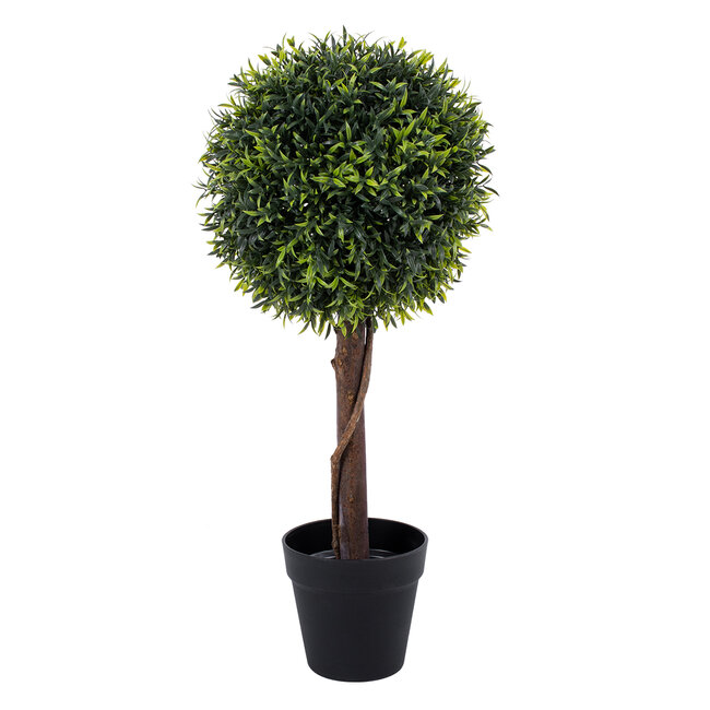 Artificial Garden MYRTUS 20398 Τεχνητό Διακοσμητικό Φυτό Φίκος Μυρτιά Υ60cm Artificial Garden MYRTUS 20398 Τεχνητό Διακοσμητικό Φυτό Φίκος Μυρτιά Υ60cm