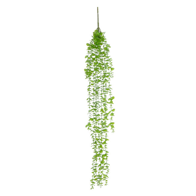 Artificial Garden HANGING EUCALYPTUS 20812 Τεχνητό Διακοσμητικό Κρεμαστό Φυτό Ευκάλυπτος Μ16 x Π9 x Υ105cm Artificial Garden HANGING EUCALYPTUS 20812 Τεχνητό Διακοσμητικό Κρεμαστό Φυτό Ευκάλυπτος Μ16 x Π9 x Υ105cm